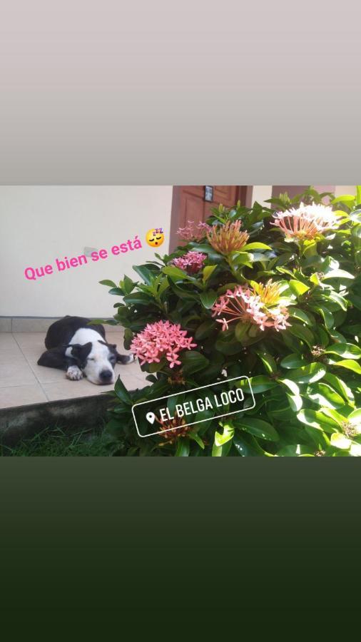 El Belga Loco Otel Las Peñitas Dış mekan fotoğraf