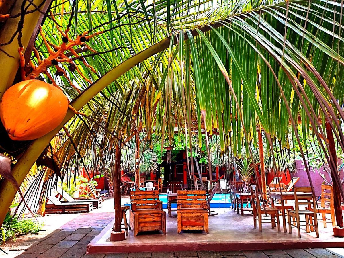 El Belga Loco Otel Las Peñitas Dış mekan fotoğraf