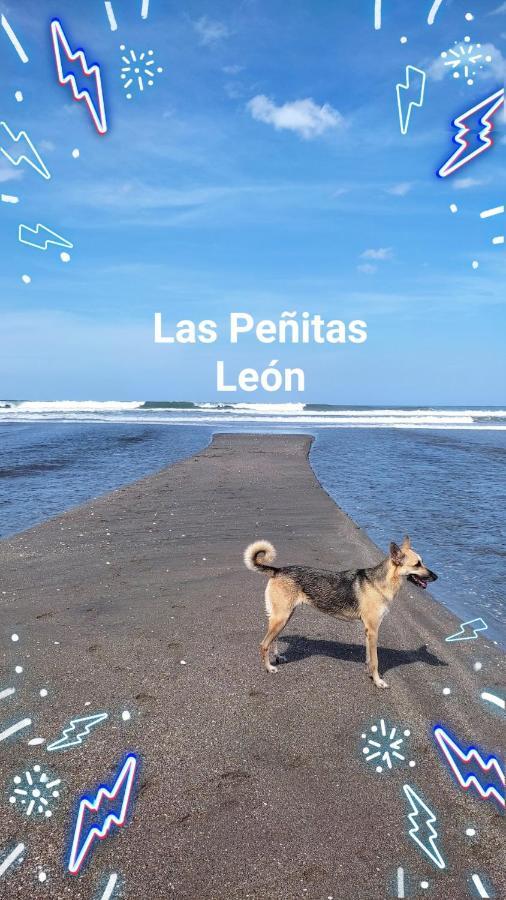 El Belga Loco Otel Las Peñitas Dış mekan fotoğraf