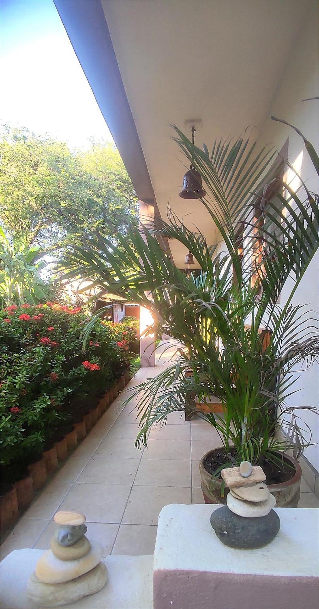 El Belga Loco Otel Las Peñitas Dış mekan fotoğraf